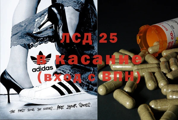 крисы Бронницы