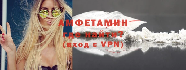 дживик Богородск
