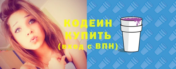 дживик Богородск