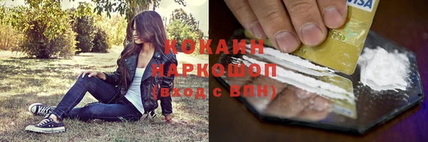 apvp Богданович
