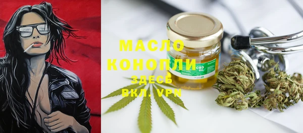 дживик Богородск