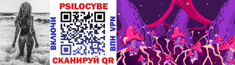площадка состав  что такое наркотик  Заречный  Галлюциногенные грибы Cubensis 